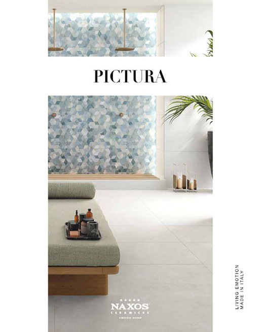 catalogue-naxos-pictura